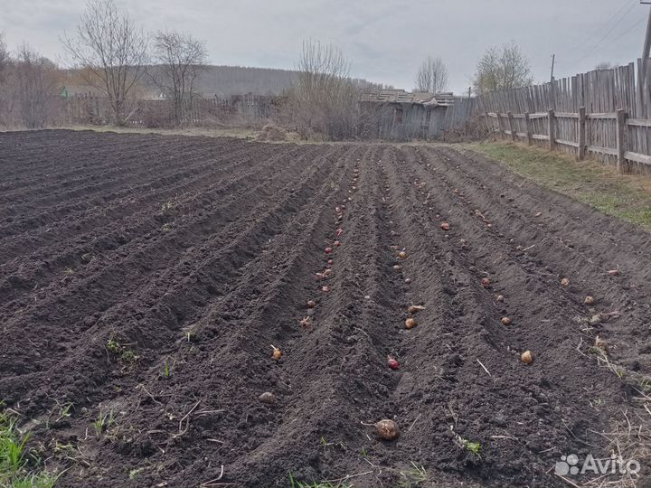 Вспашка земли мотоблоком