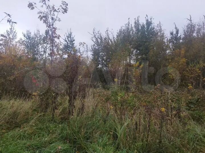 Участок 11,1 сот. (ИЖС)