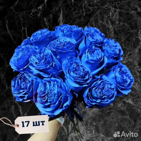 Розы (60 см) синие Эквадор 17 шт