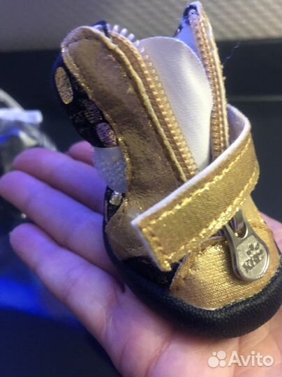 Обувь для собак ботинки