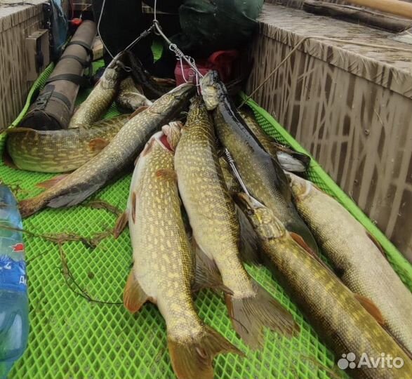 Отдых Рыбалка и Охота