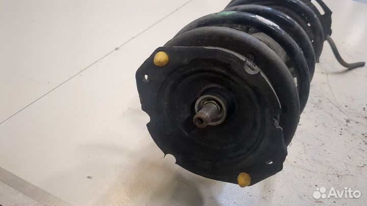 Амортизатор подвески левый передний Renault Laguna 2, 2006