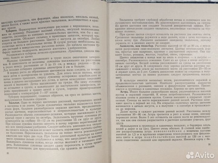 Озеленение и цветоводство Бойченко 1969