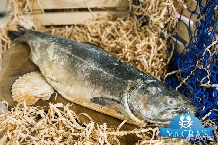 Рыба чавыча целая (без головы 5+ кг), 1 кг