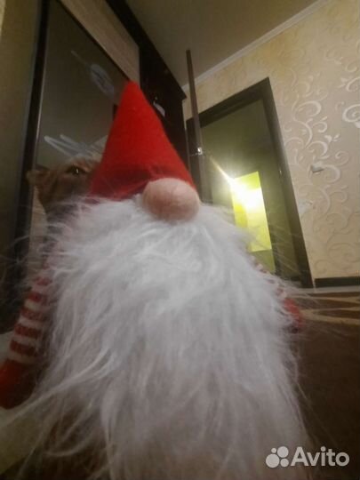 Лютый Дед-Наездник