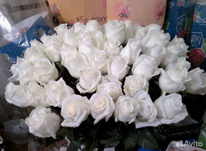 Высокие Высокие розы Гигантские розы Букеты Достав