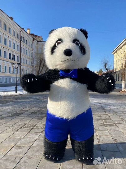 Бело черный мишка аниматор праздник