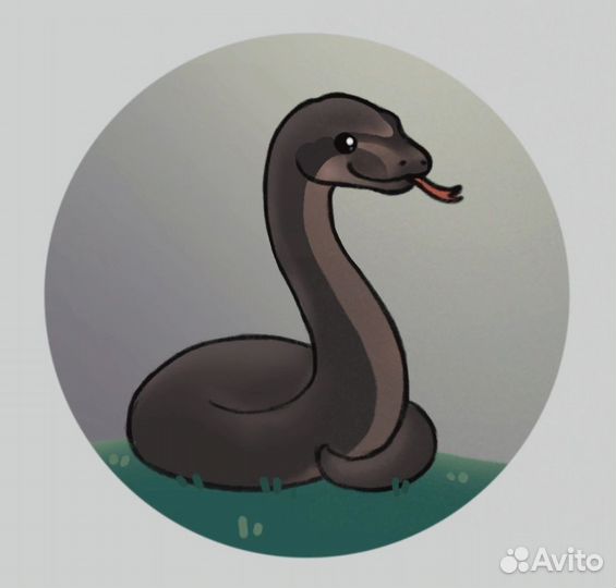 Домашние ручные змеи