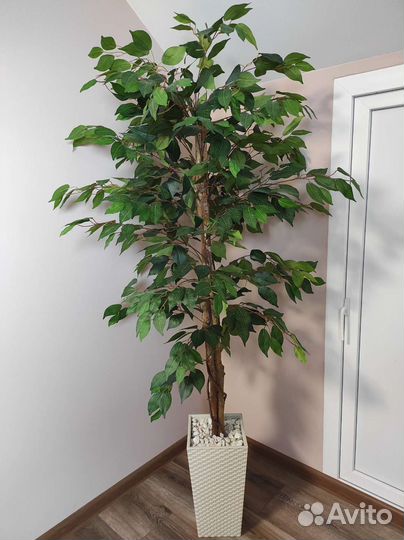 Фикус Бенджамина искусственный