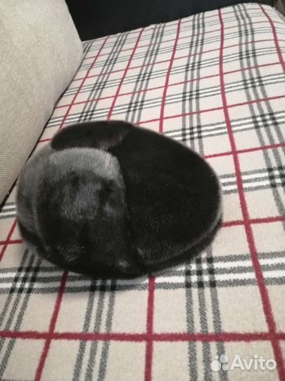 Мужская кепка из нерпы