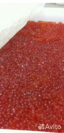 Икра красная горбуша камчатка 2023г доставка по РФ