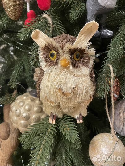 Сова натуральная