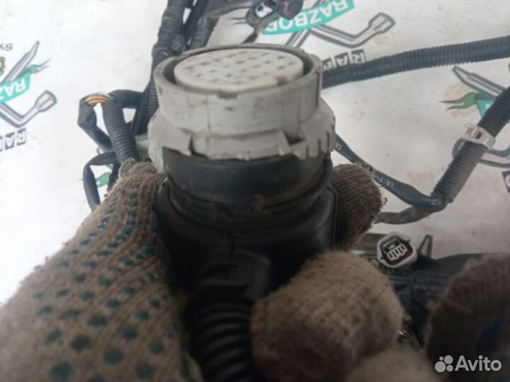 Проводка двс Mitsubishi Outlander XL