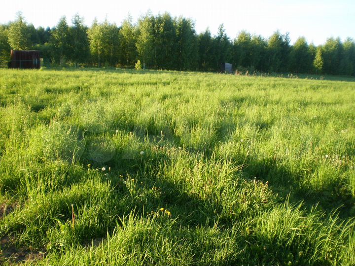 Участок 29,4 сот. (ИЖС)