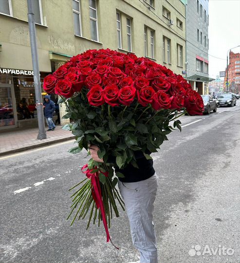 Роза высокая 100-200см