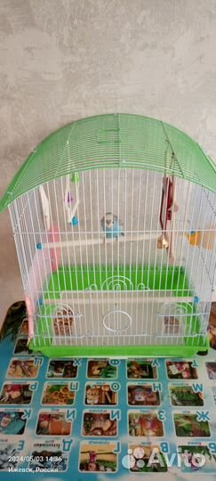 Волнистый попугай с клеткой и кормом