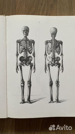 Книга Енё Барчаи 