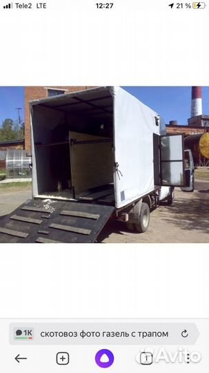 Перевозка животных