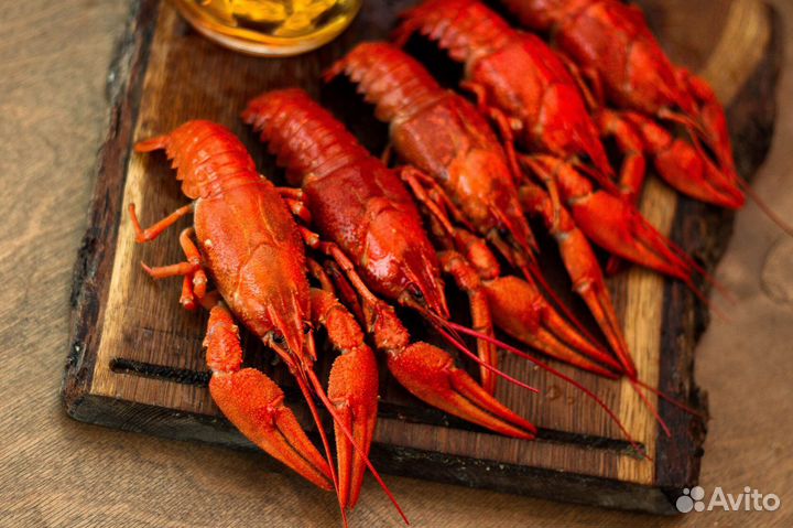 Раки живые и вареные г. Майкоп