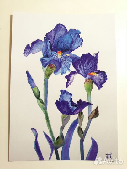 Авторская отрытка