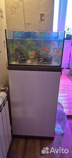 Аквариум с тумбой и рыбками