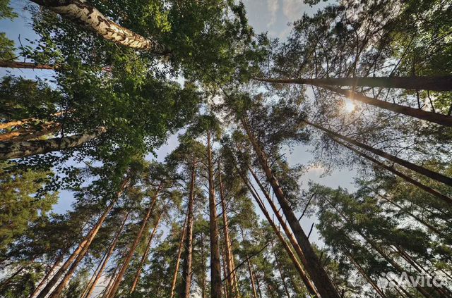 Фото объявления