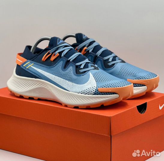 Кроссовки Nike Pegasus Trail 2 мужские g-7953