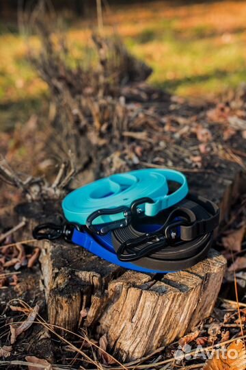 Ошейник и поводок для собаки