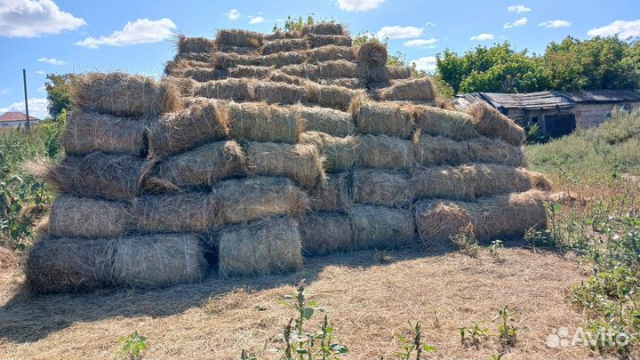 Сено в рулонах 2023
