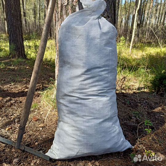 Хвоя сосновая сухая мульча