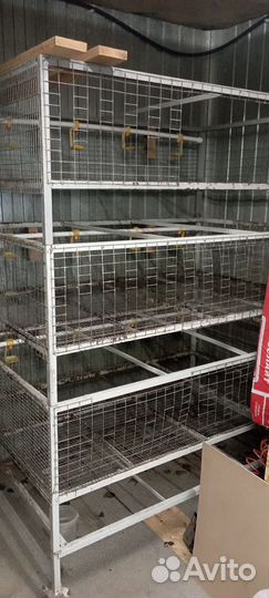 Клетки для выращивания бройлеров,брудер для цыплят