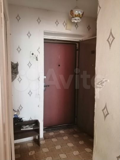 1-к. квартира, 31,4 м², 2/5 эт.