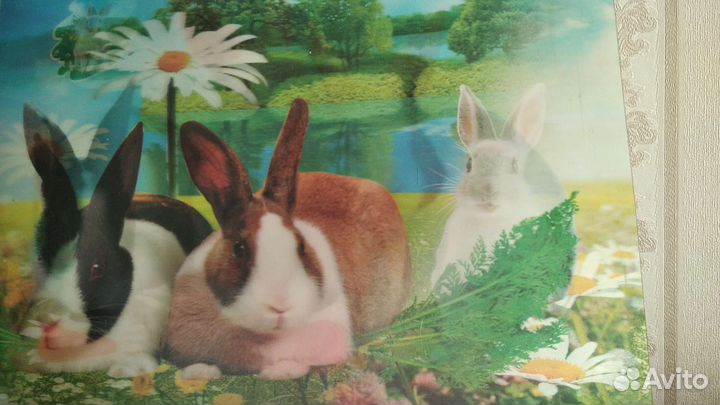 Переливания панорама 3D