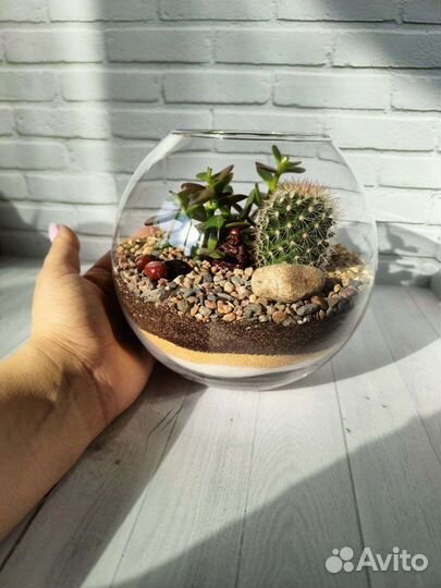 Флорариум, подарок, декор для интерьера