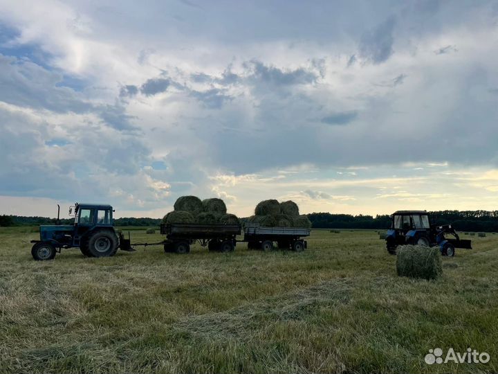 Сено в рулонах