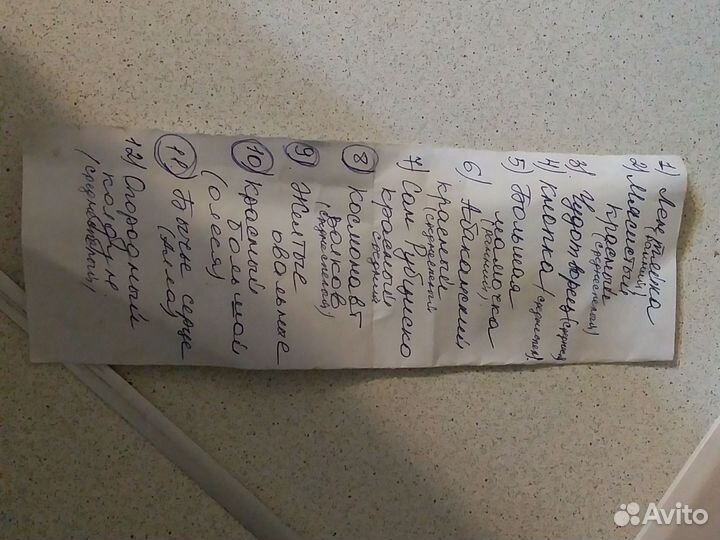 Рассада помидоры/перец/баклажаны