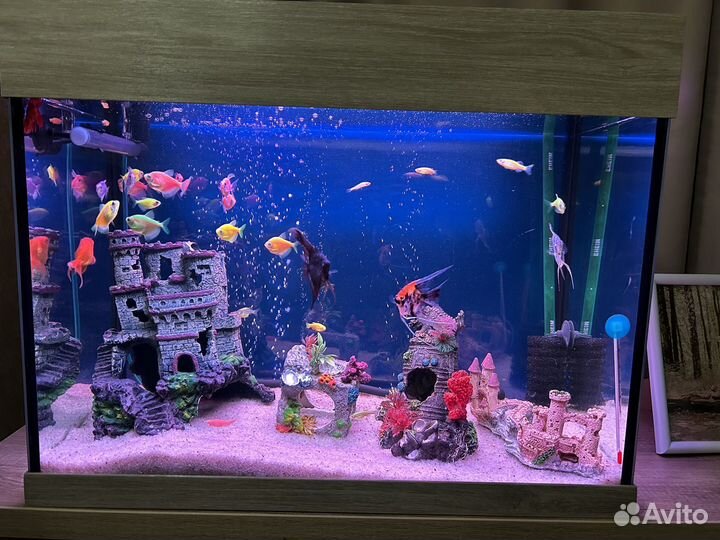 Аквариум