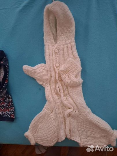 Одежда для кошек