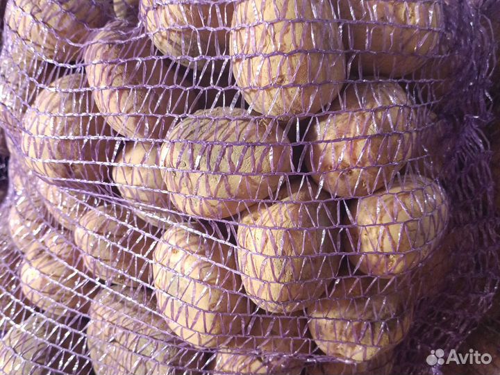 Картофель домашний для еды и на посадку