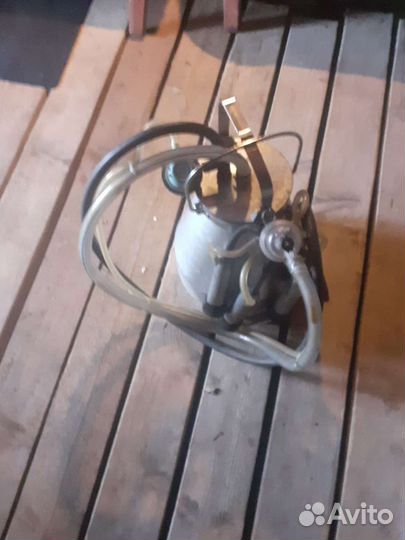 Доильный аппарат для коров бу