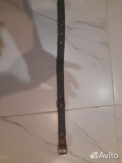 Ошейник для собак