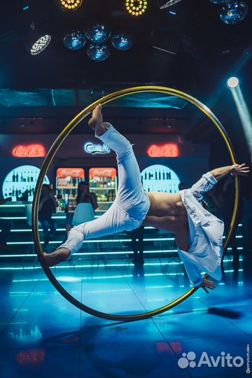 Аниматоры шоу артист