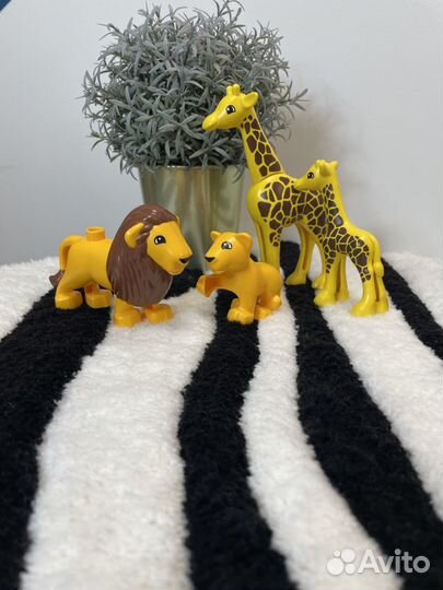 Ковёр Зебра