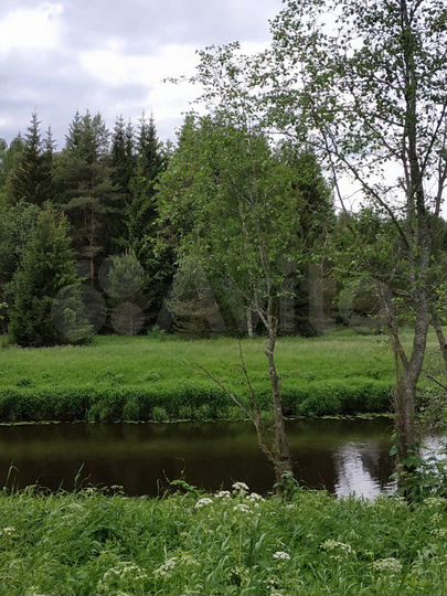 Участок 14,2 га (СНТ, ДНП)