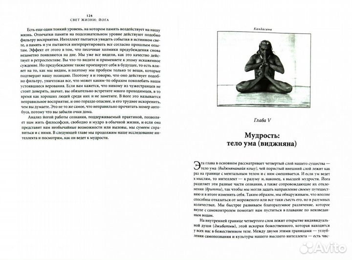 Книга «Свет жизни йога» Айенгар