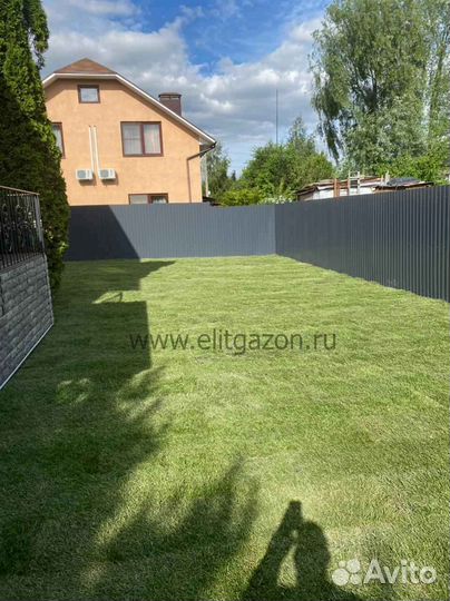 Рулонный газон, укладка, продажа