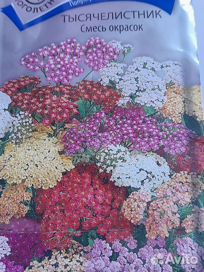 Тысячелистник