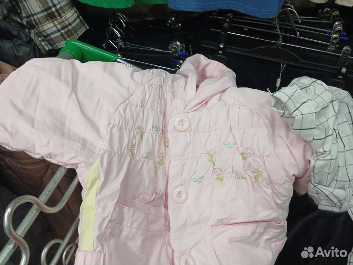 Отдам бесплатно