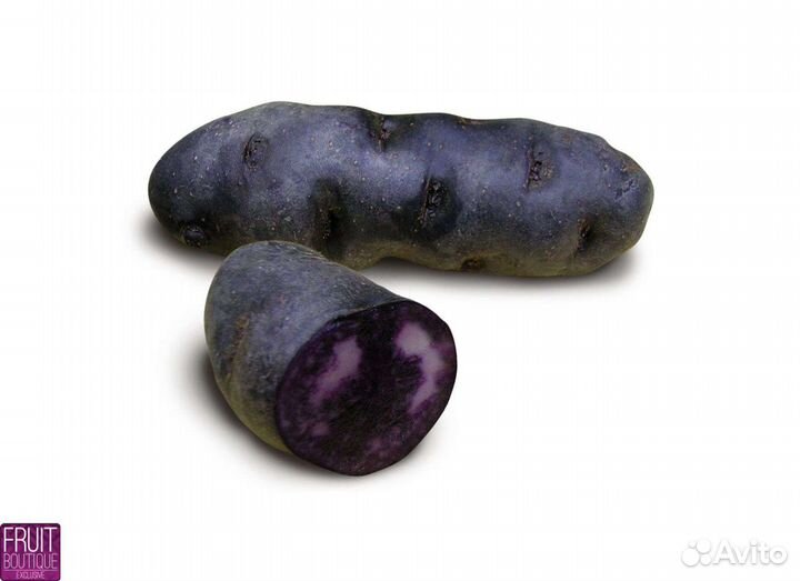 Картофель свой обычный и фиолетовый Purple Congo