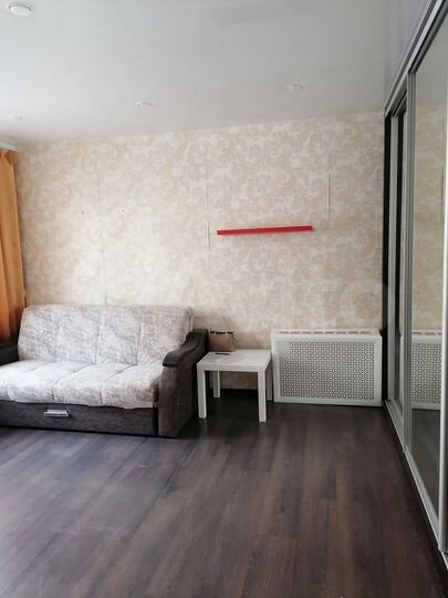 1-к. квартира, 21,7 м², 1/9 эт.